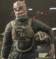 Feresk "Frisk" Tssat (Vanguard Squadron) (Star Wars) Custom Action Figure