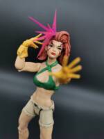 Jean Grey (Savage Land) (Marvel Legends) Custom Action Figure