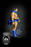 Black Condor (Freedom Fighters) (DC Universe) Custom Action Figure