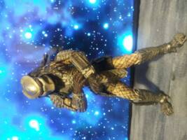 Predator (Predator) Custom Action Figure