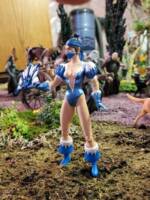 Katana (Mortal Kombat) Custom Action Figure