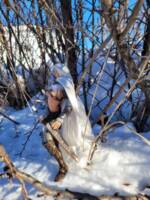Winter day (Fantasy) Custom Action Figure