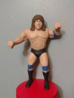 Dr. Tom Prichard (Wrestling) Custom Action Figure