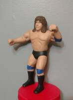 Dr. Tom Prichard (Wrestling) Custom Action Figure