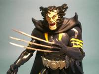 Dark Claw (Amalgam) Custom Action Figure