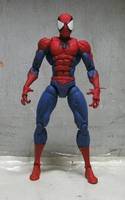 Marvel Superheroes Spider-Man (Spider-Man) Custom Action Figure
