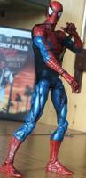 Spider-Man repaints (Spider-Man) Custom Action Figure