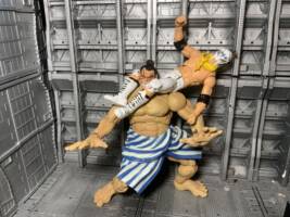 Street Fighter El Fuerte (Street Fighter) Custom Action Figure