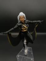 Storm (Outback) V2 (Marvel Legends) Custom Action Figure