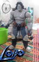 LOBO 2/3 (Clothes and accessories) (DC Universe) Custom Action Figure