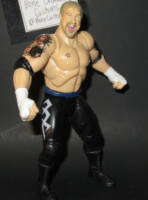Diamond Dallas Page (Wrestling) Custom Action Figure