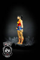 Wonder Girl (Classic costume) (DC Multiverse) Custom Action Figure
