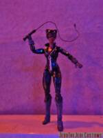 Catwoman (Batman) Custom Action Figure