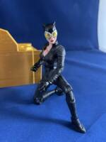 Catwoman (DC Multiverse) Custom Action Figure