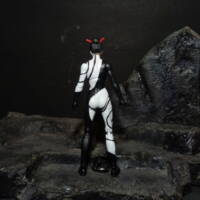 lady bulleyes (Marvel Legends) Custom Action Figure