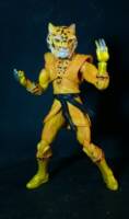 Bronze Tiger (DC Infinite Heroes) Custom Action Figure