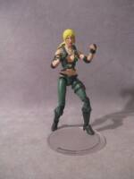 MK9 Sonya Blade (Mortal Kombat) Custom Action Figure