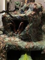 Masters Of The Universe Fright Zone (Masters of the Universe) Custom Diorama / Playset