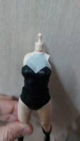 Black Canary (DC Multiverse) Custom Action Figure
