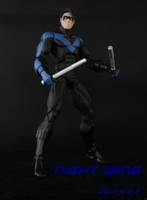 Nightwing V. 7 (DC Universe) Custom Action Figure