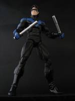 Nightwing V. 7 (DC Universe) Custom Action Figure