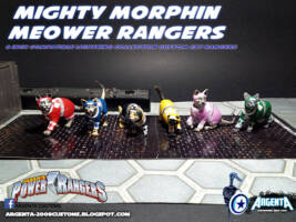 Mighty Morphin Meower Cat Rangers (Power Rangers) Custom Action Figure