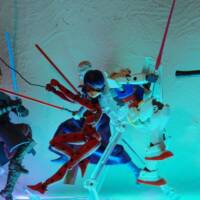 miraculous ladybug (Miraculous Ladybug) Custom Action Figure