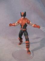 X-Men Evolution Wolverine (Marvel Universe) Custom Action Figure