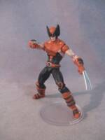X-Men Evolution Wolverine (Marvel Universe) Custom Action Figure