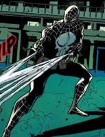 Punisher Spider-Man (Marvel Legends) Custom Action Figure