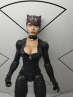 Catwoman (DC Multiverse) Custom Action Figure