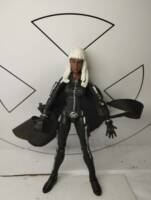 Storm (Movies) (Marvel Legends) Custom Action Figure