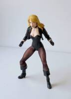 Black Canary (DC Multiverse) Custom Action Figure