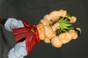 Broly (DBZ) (Dragonball Z) Custom Action Figure