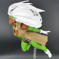 Storm (X-Men #312) (Marvel Legends) Custom Action Figure