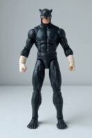 Wildcat Ted Grant (JSA) (DC Multiverse) Custom Action Figure