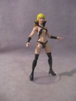 Draculina (Vampirella) Custom Action Figure