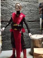 Mirren (Jedi Fallen Order) (Star Wars) Custom Action Figure