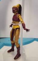 Anita Fite / Empress (Young Justice) (Marvel Legends) Custom Action Figure [Side View]