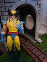 Wolverine (Marvel Legends) Custom Action Figure