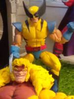 Wolverine (Marvel Legends) Custom Action Figure