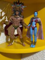 The Lady Dorma (concept) (Marvel Legends) Custom Action Figure