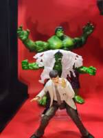 Hulk (Hulk - Movie) Custom Action Figure