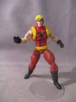 Giant Man (Marvel Universe) Custom Action Figure