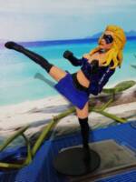 Stripperella (Barbwire) Custom Action Figure