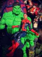 (HULK) The Movie (Hulk - Movie) Custom Action Figure