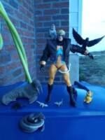 Animal Man with jacket (DC Universe) Custom Action Figure