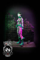 Harlequin (Duela Dent) (DC Universe) Custom Action Figure