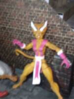 Feral (Marvel Legends) Custom Action Figure
