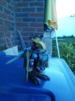Fodder's Bin Mods: Terror -dactyl Insurgent (original idea) (Original) Custom Action Figure